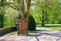 A small, outdoor bookshelf filled with books is positioned under a large, leafy tree. The setting is a sunny park with a path curving through lush green grass. The warm, natural wood of the bookshelf contrasts with the vibrant greens of the surrounding foliage.