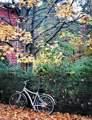 A classic bicycle leaning against a rustic fence surrounded by autumn leaves.