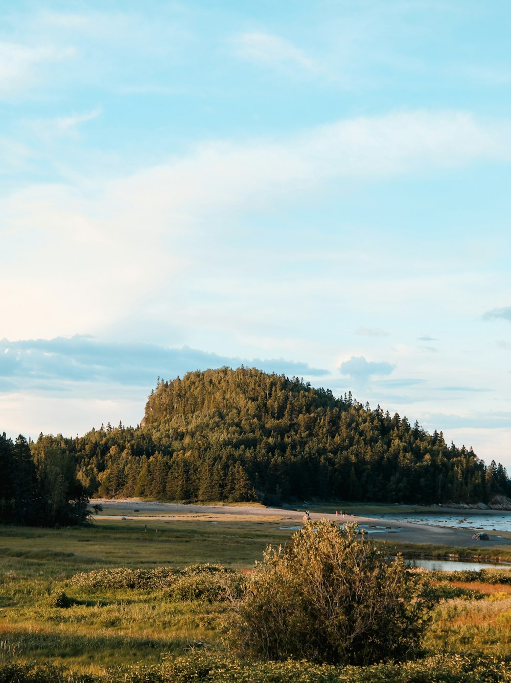 ein grasbewachsenes Feld mit einer kleinen Insel im Hintergrund