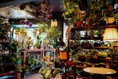 A cozy indoor space filled with a variety of potted plants displayed on shelves and tables. The area is well-lit with natural light streaming through a window, alongside a warm lamp. There are lush green leaves and colorful flowers, contributing to a vibrant and inviting atmosphere.