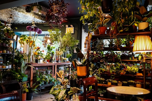 A cozy indoor space filled with a variety of potted plants displayed on shelves and tables. The area is well-lit with natural light streaming through a window, alongside a warm lamp. There are lush green leaves and colorful flowers, contributing to a vibrant and inviting atmosphere.