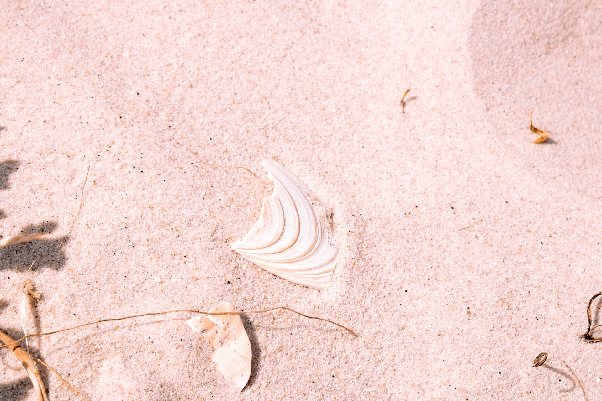 woman wearing yellow long-sleeved dress under white clouds and blue sky during daytime