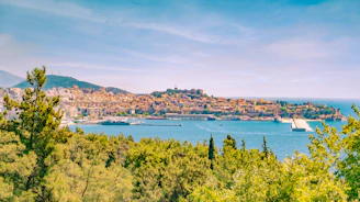 a view of a small island in the middle of a body of water