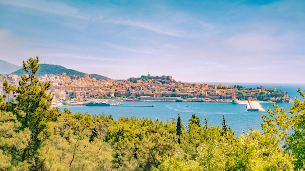a view of a small island in the middle of a body of water