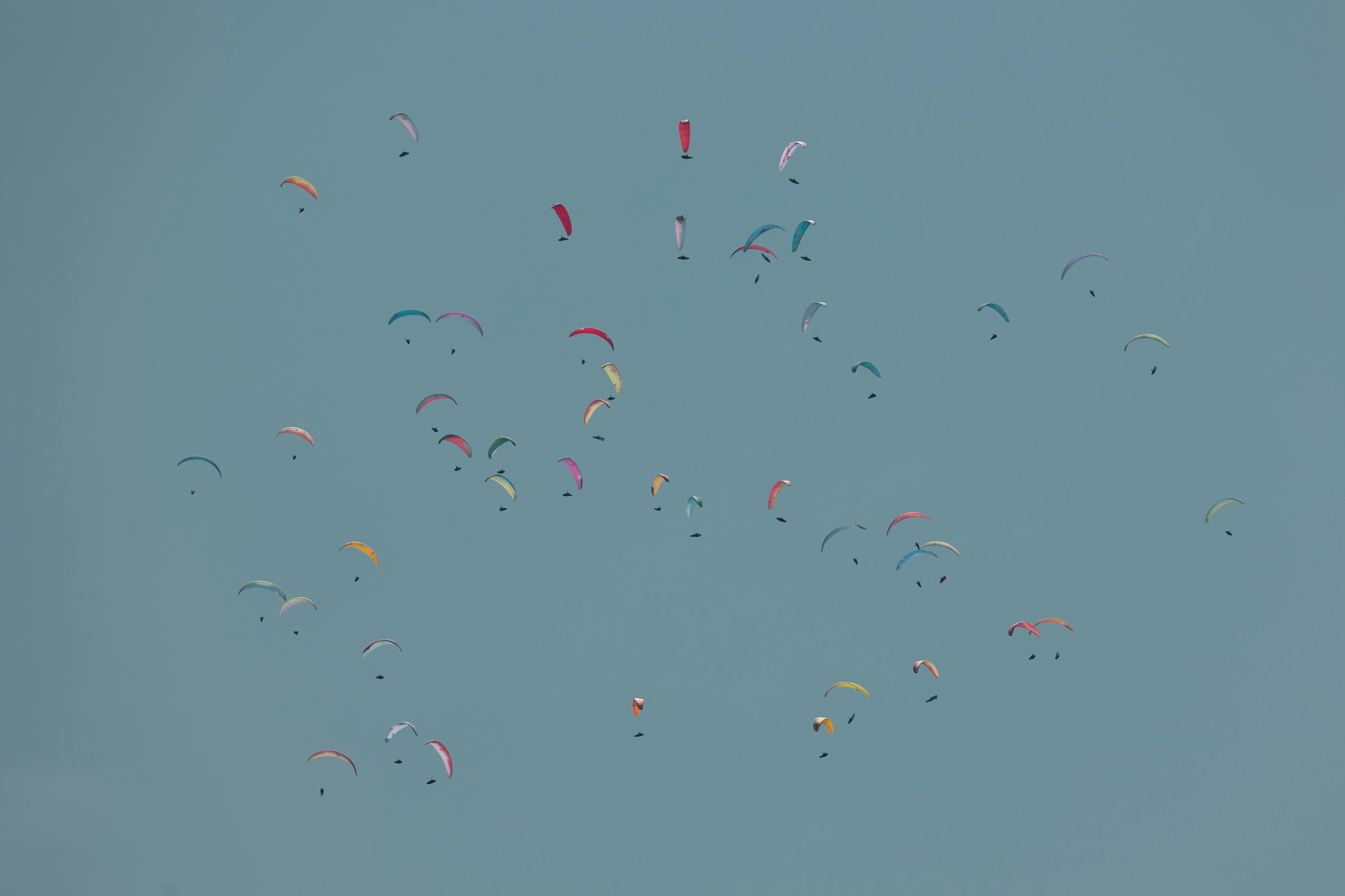 A large group of kites flying in the sky photo Free Romania Image on Unsplash