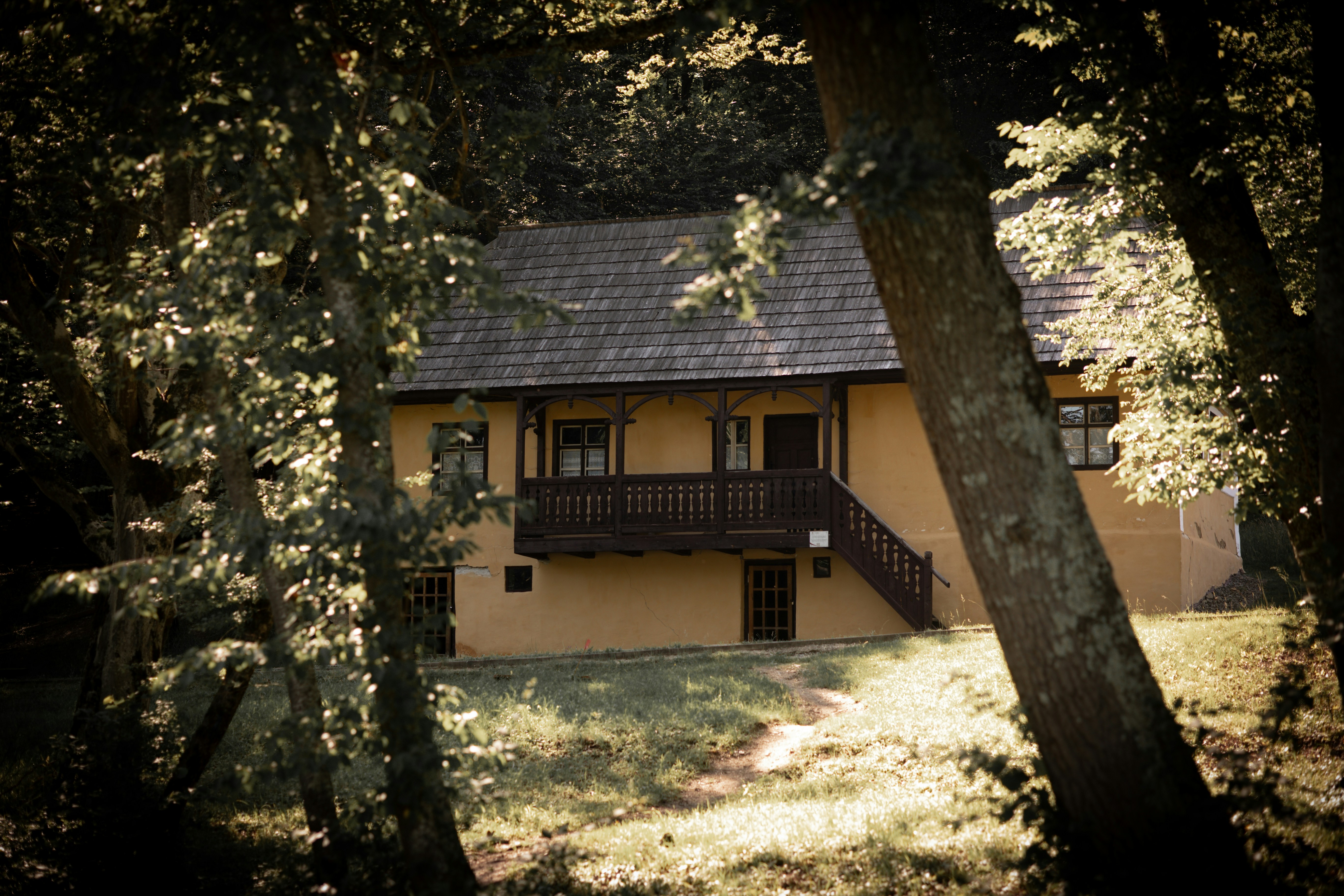 Photo by elisamoldovan