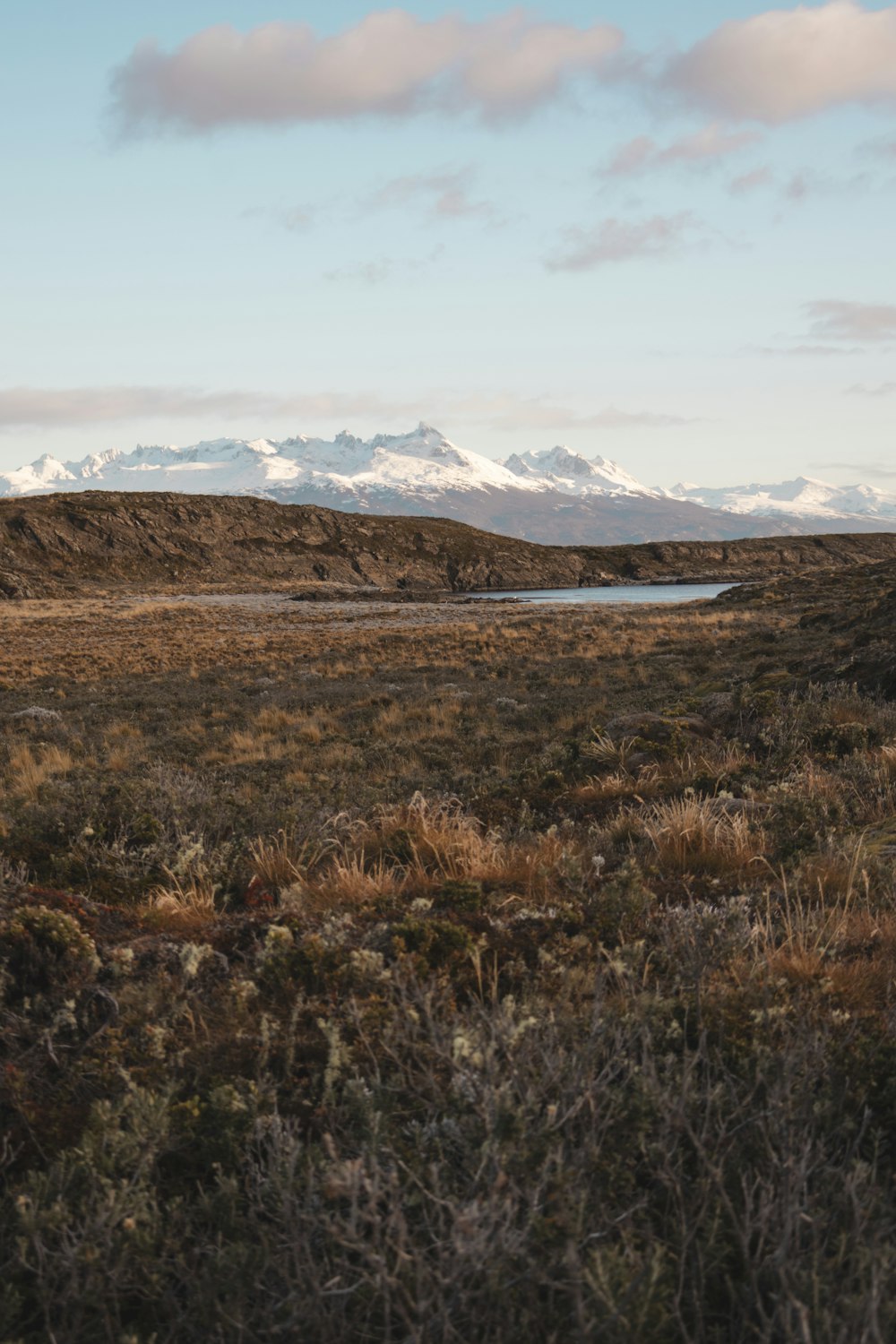 a field with a mountain in the background