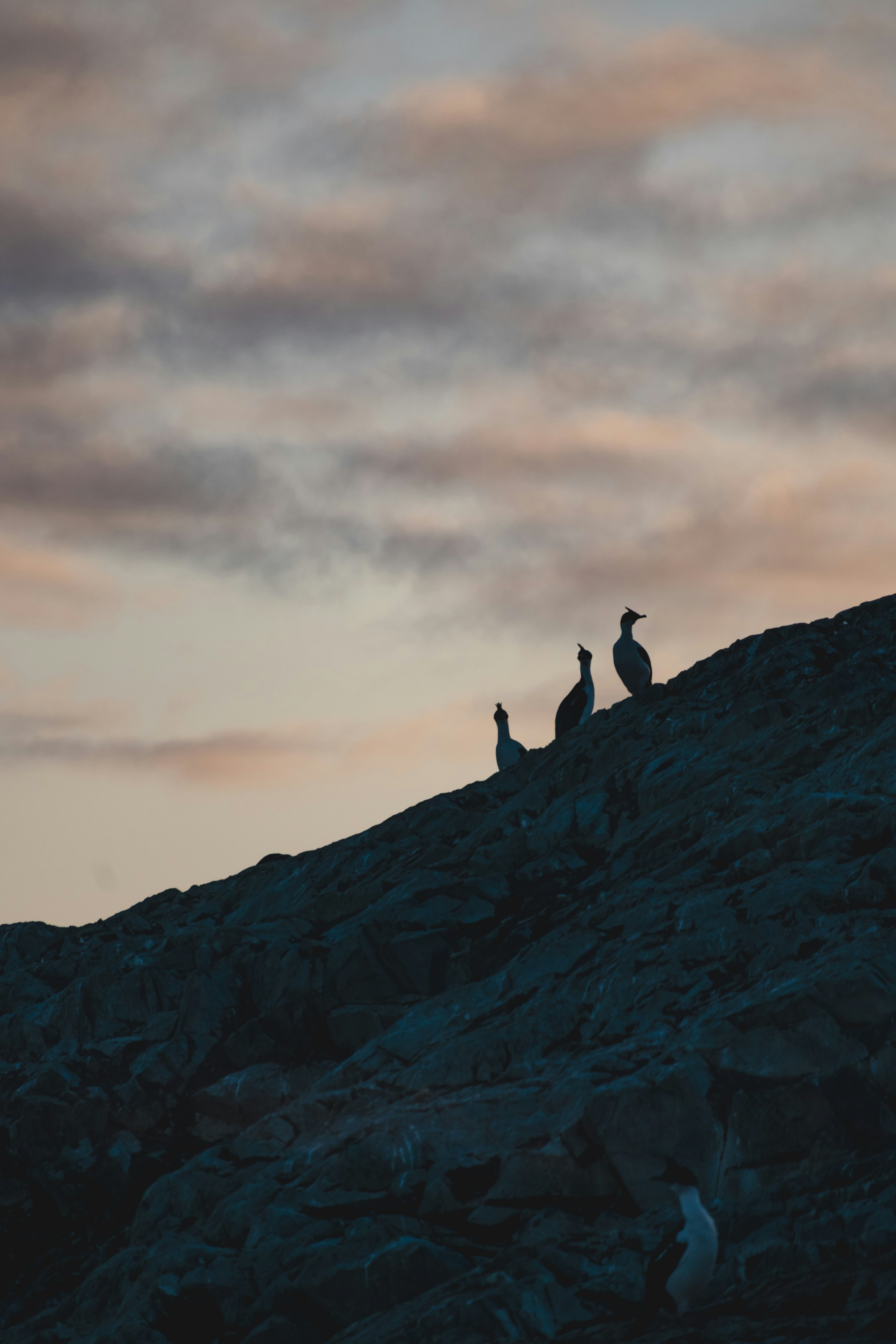 Photo by rodriguesallan