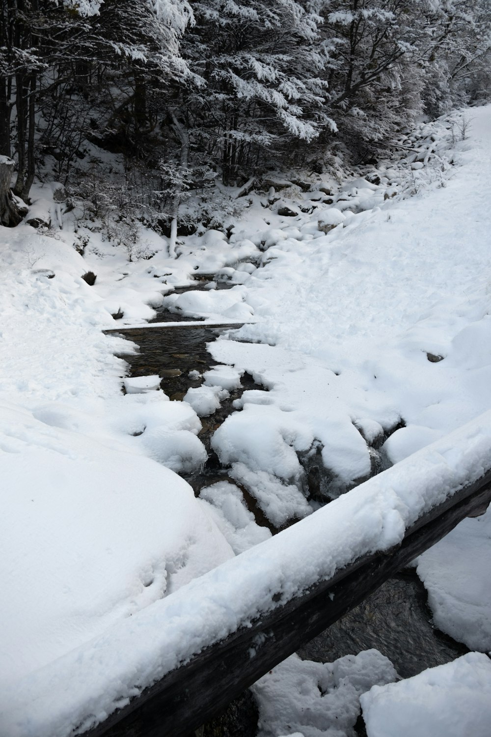 a stream running through a snow covered forest