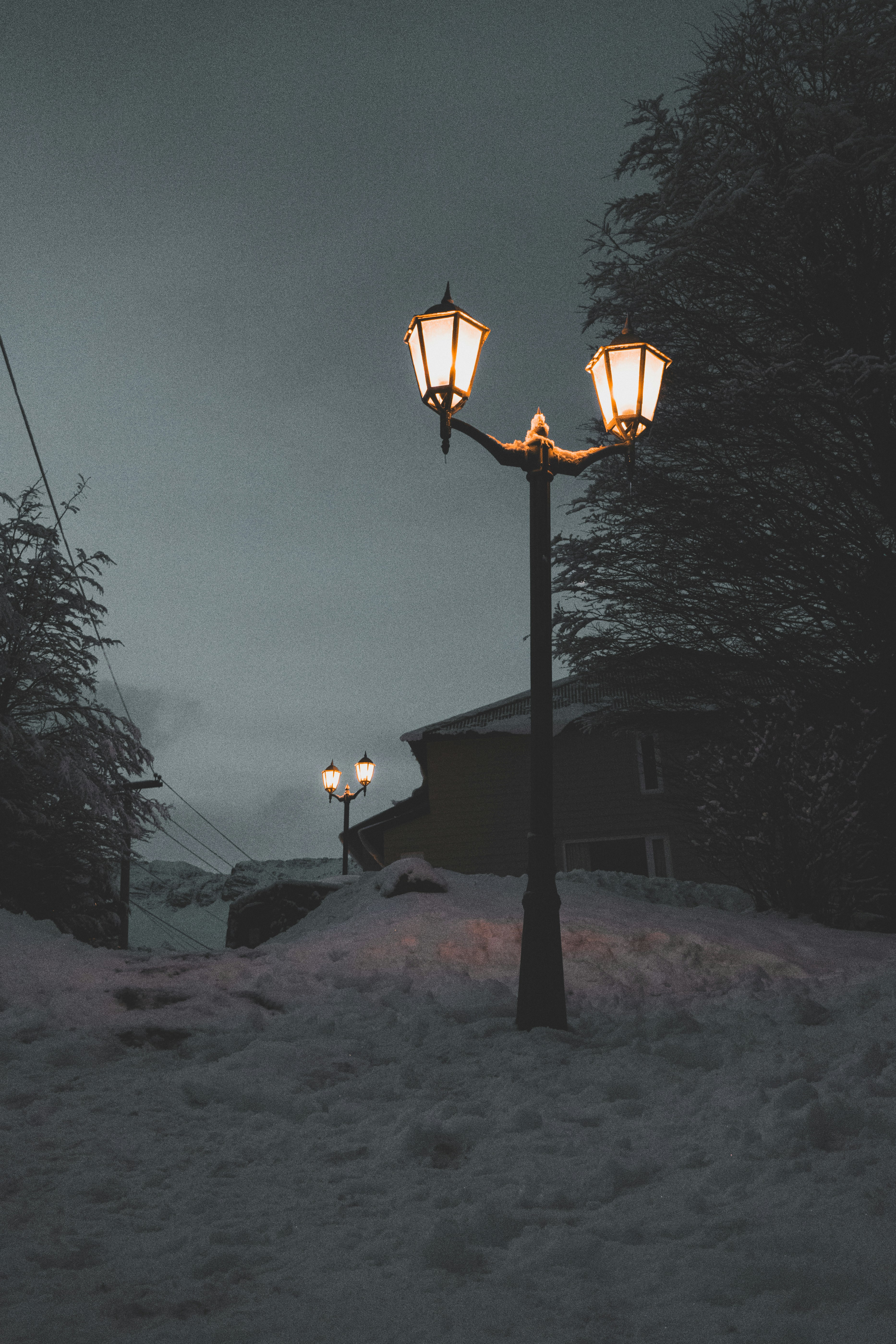 Photo by rodriguesallan