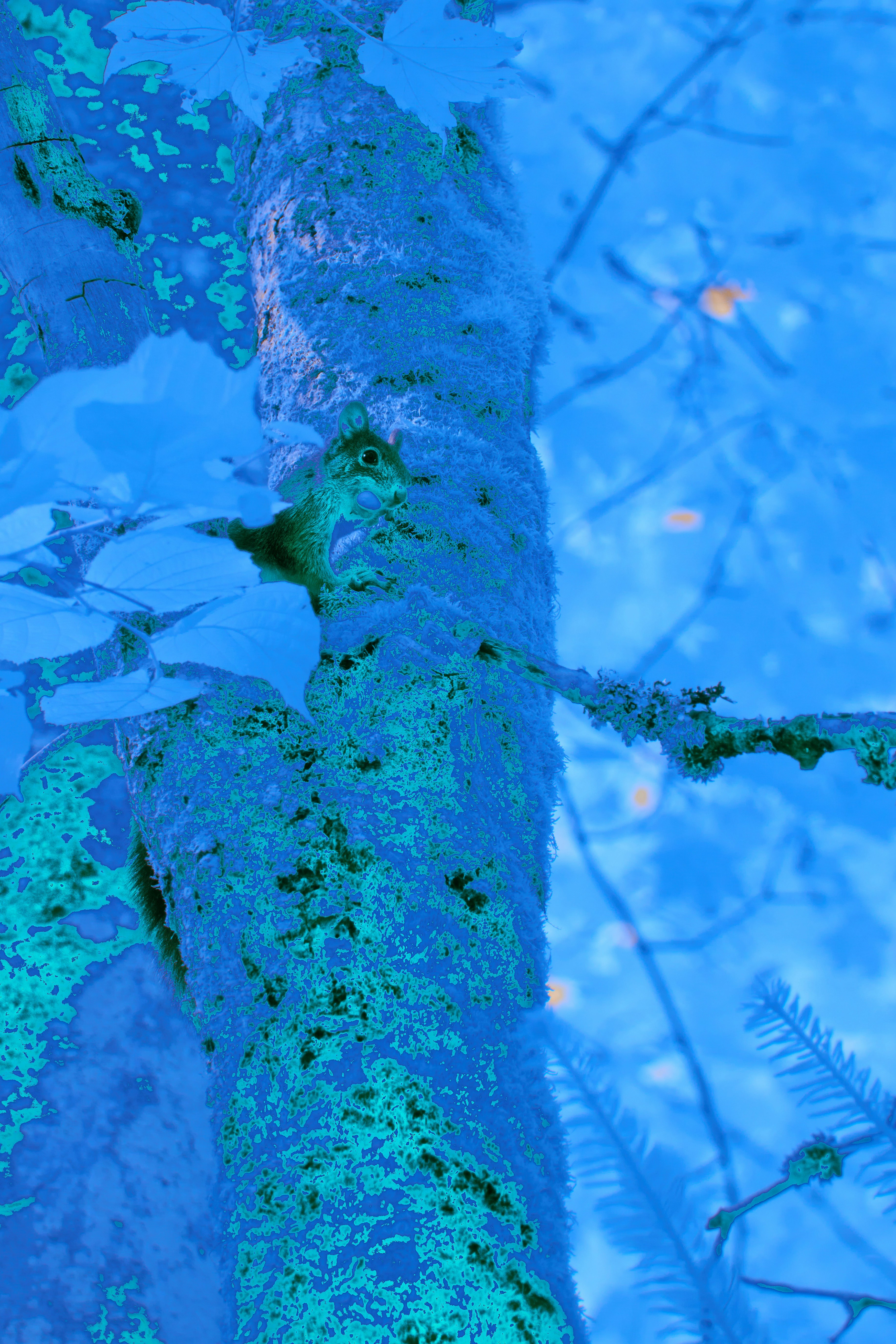 Photo by wolfgang_hasselmann