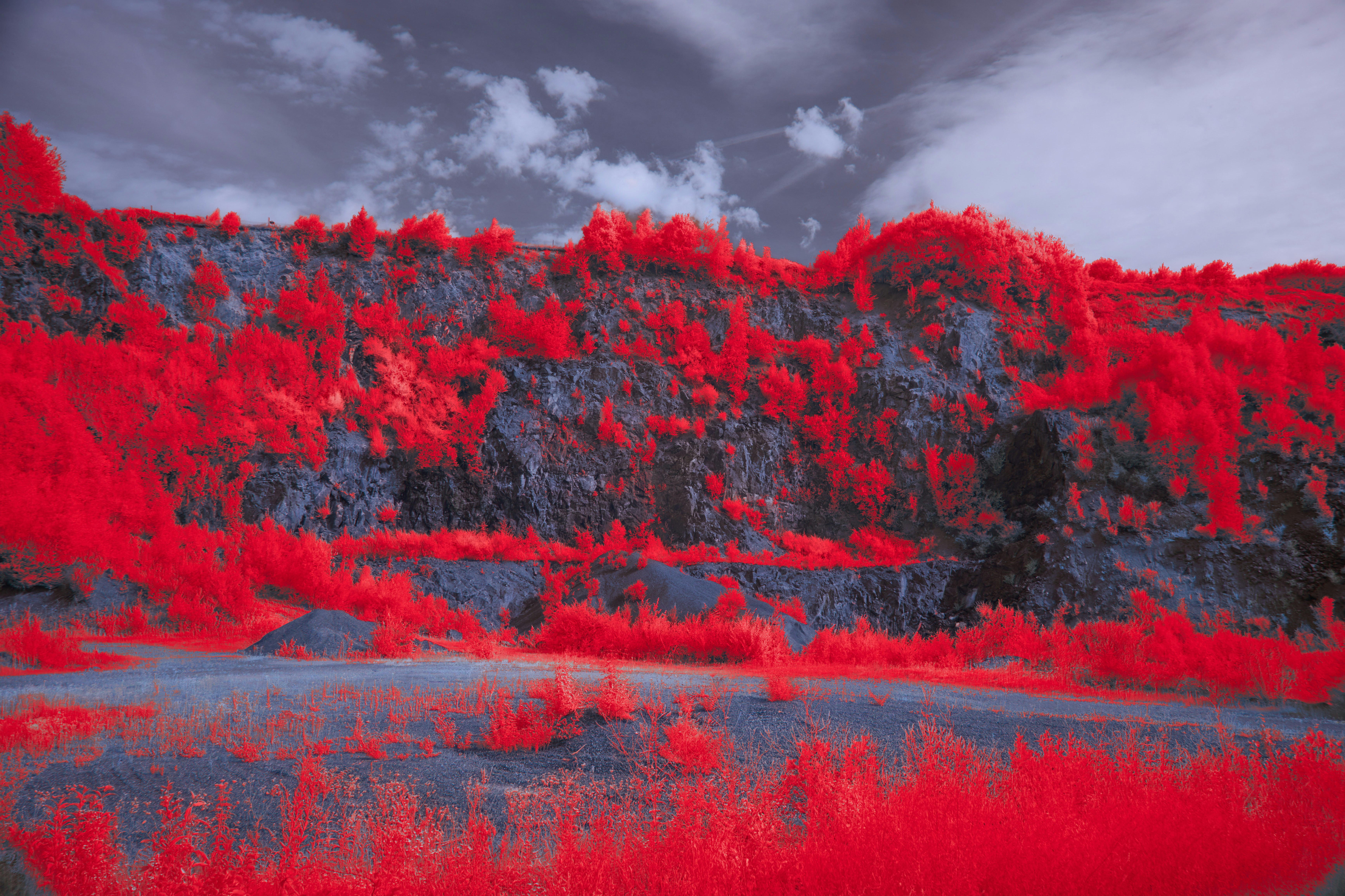 Photo by wolfgang_hasselmann