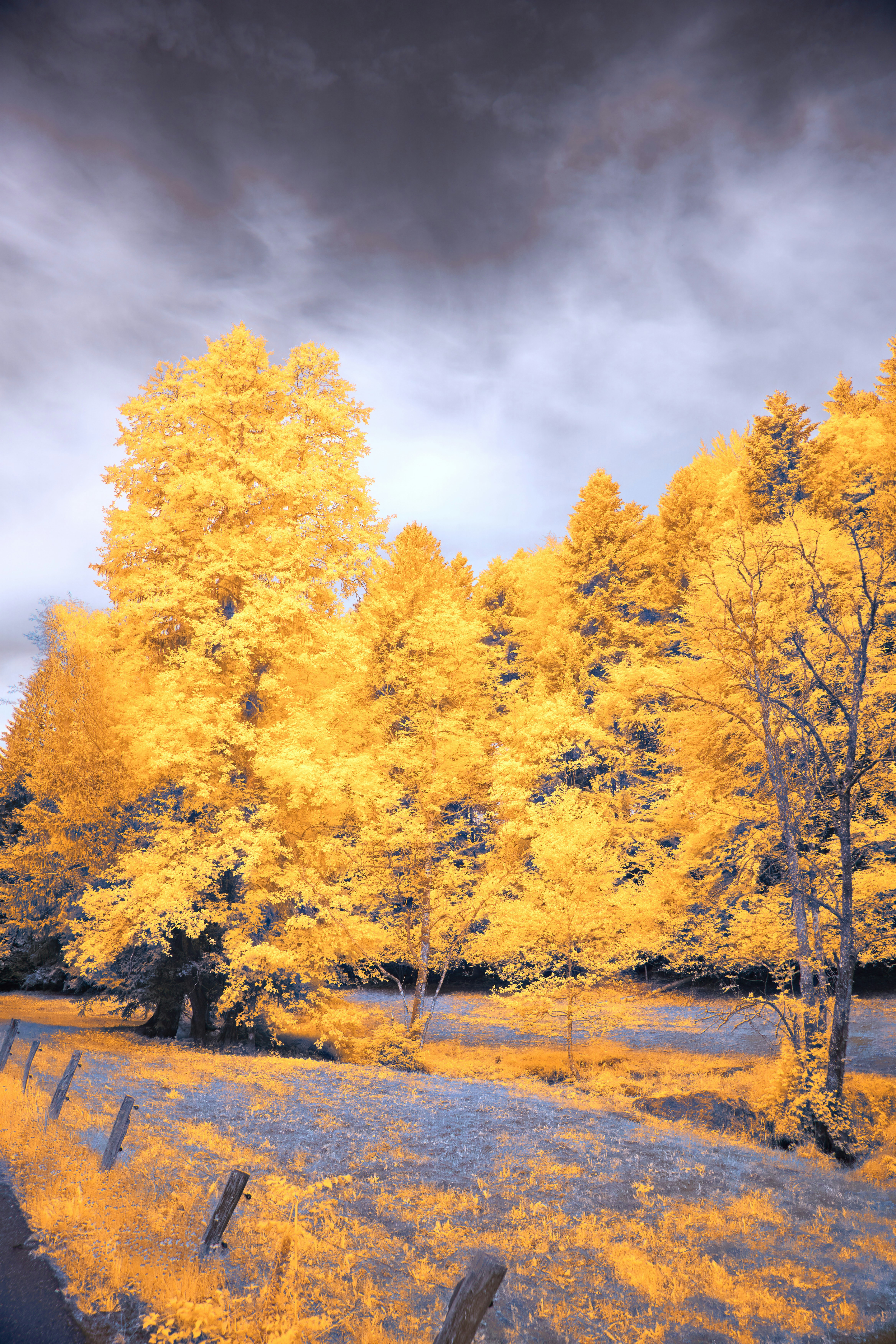 Photo by wolfgang_hasselmann