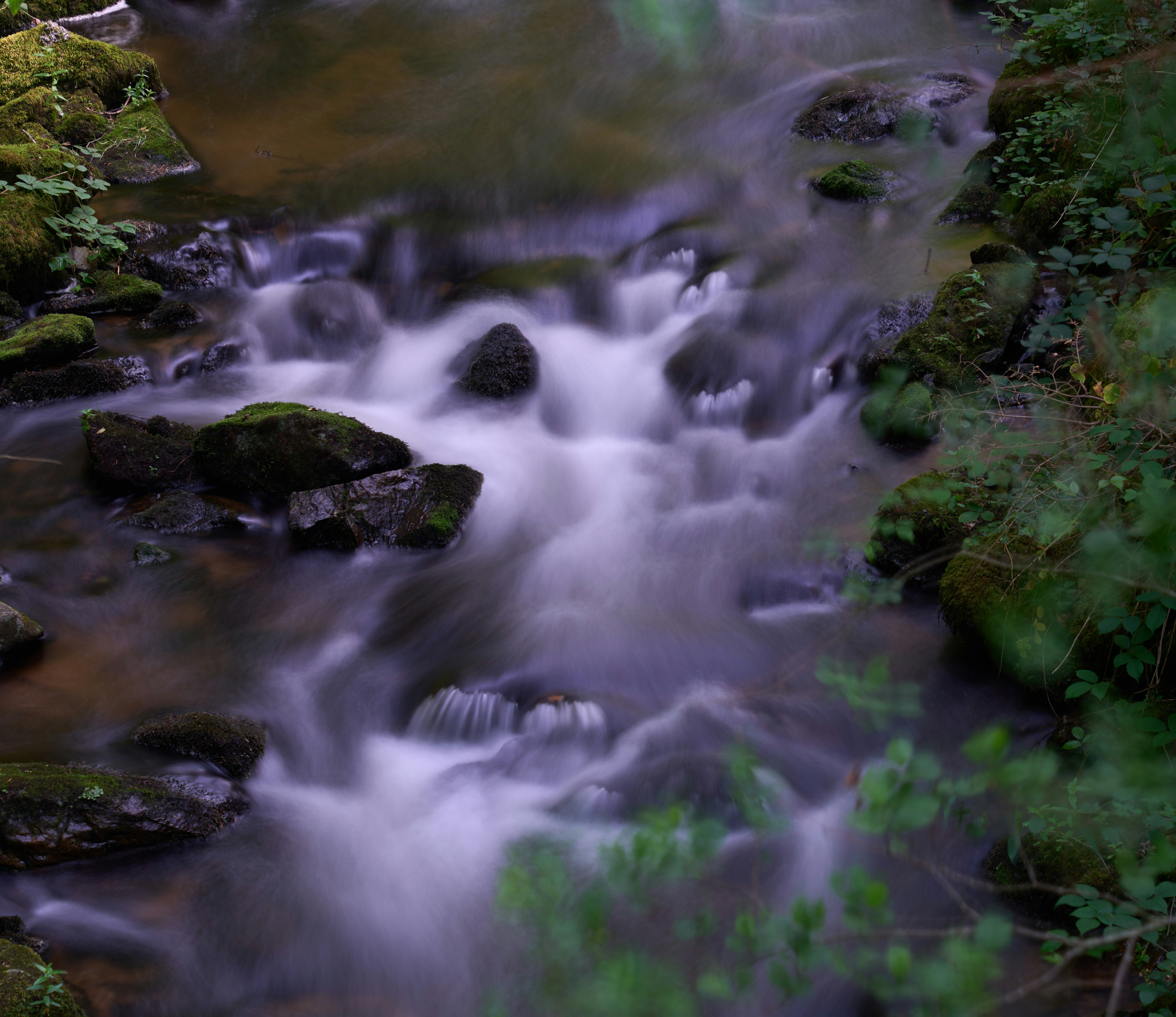 Photo by wolfgang_hasselmann