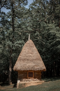 A small, rustic house with a thatched roof stands in a dense forest. The building appears to be constructed from wood and stone, sitting on a grassy patch surrounded by tall trees. The lighting highlights the natural textures of the materials and the lush greenery.