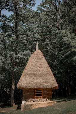 A small, rustic house with a thatched roof stands in a dense forest. The building appears to be constructed from wood and stone, sitting on a grassy patch surrounded by tall trees. The lighting highlights the natural textures of the materials and the lush greenery.