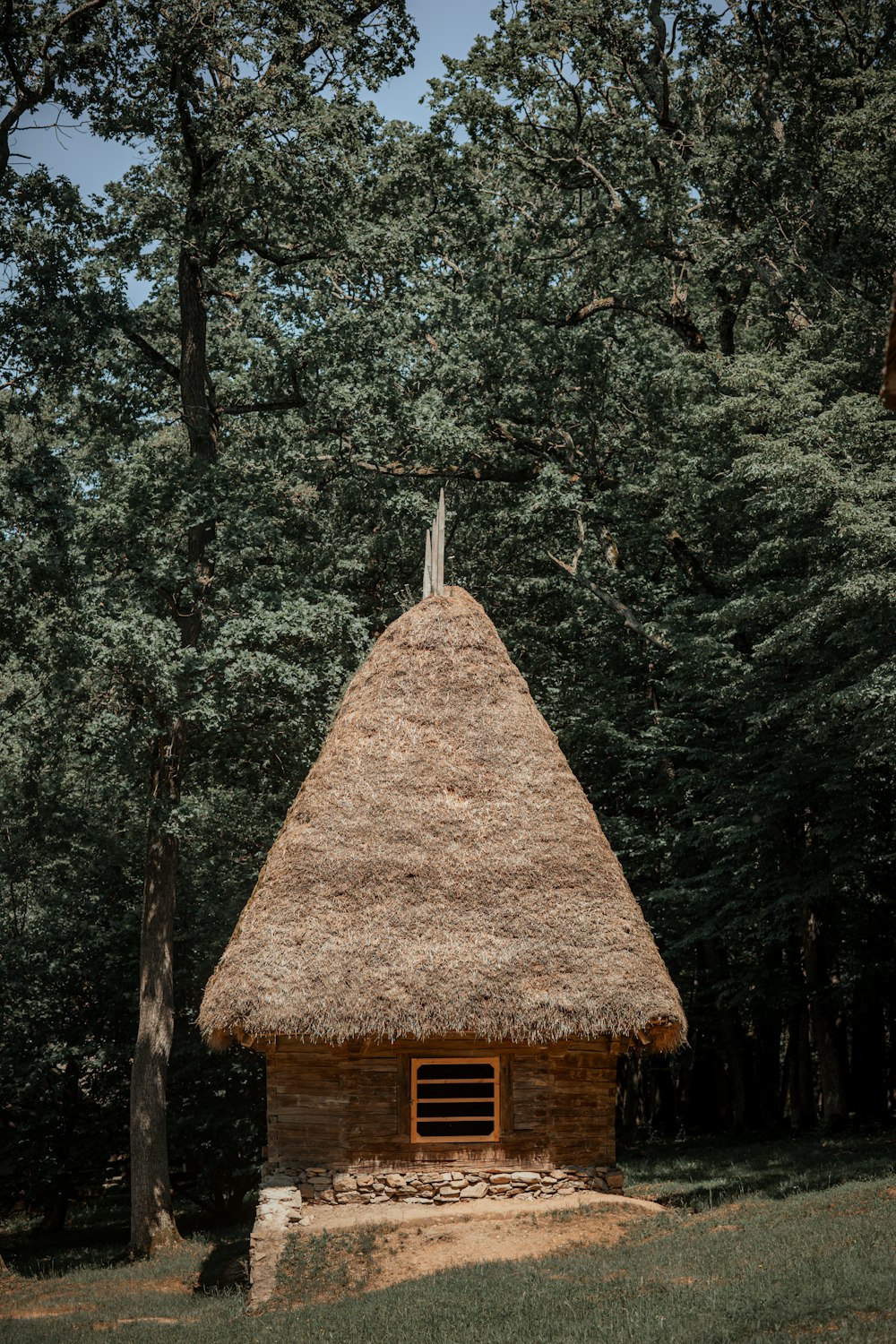 a small house with a thatched roof in the woods