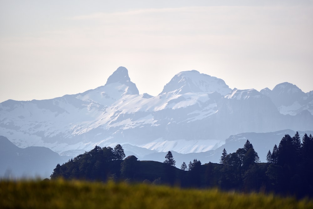 a view of a mountain range with trees in the foreground