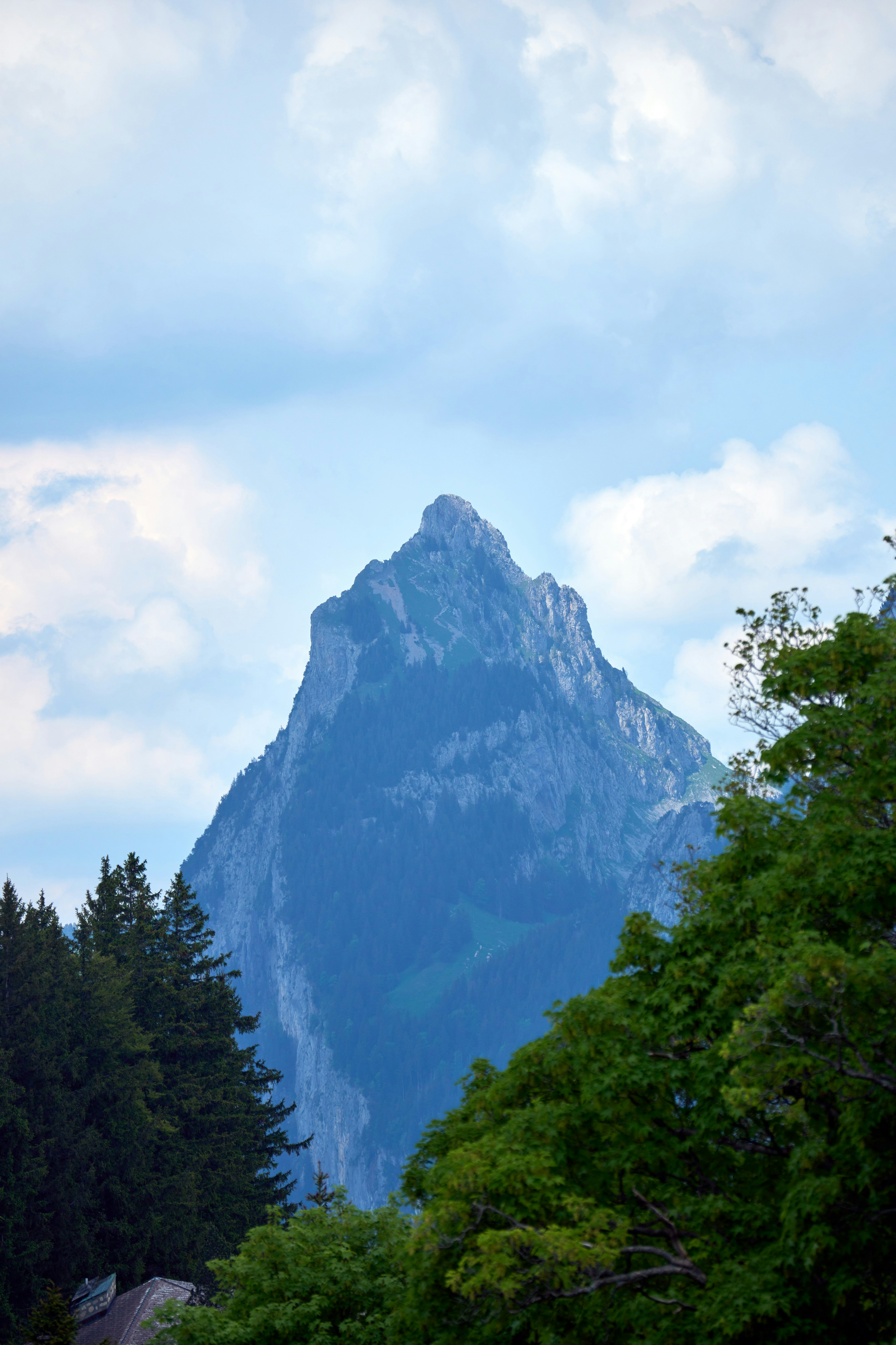 Photo by wolfgang_hasselmann