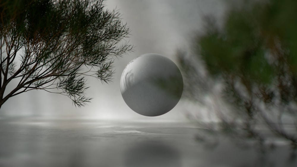 a white ball is in the air near a tree