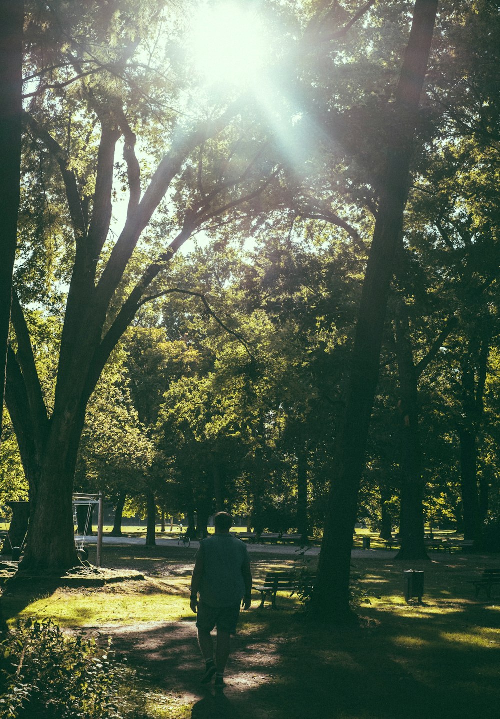 a man walking through a park next to trees