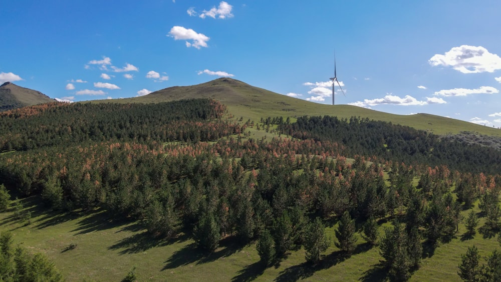 an aerial view of a forest with a radio tower in the distance