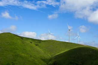 a group of wind turbines on a grassy hill