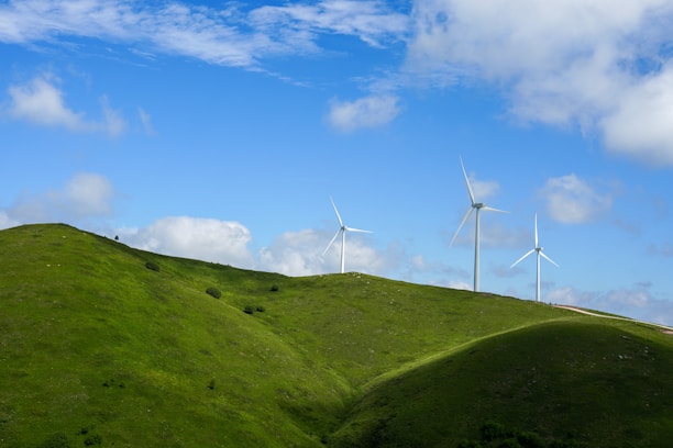 Wind turbines spinning gently on a rolling hillside with a bright sky backdrop.