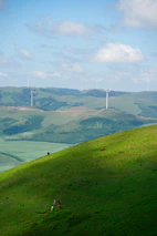 A scenic view of a Waikato dairy farm with rolling hills and a weather station.