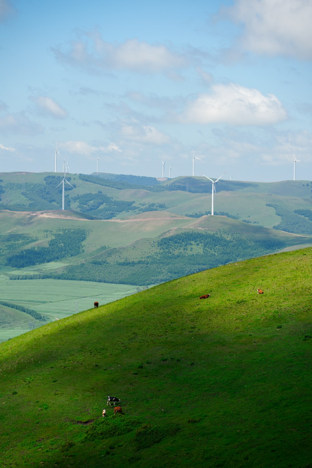 a grassy hill with wind mills in the distance