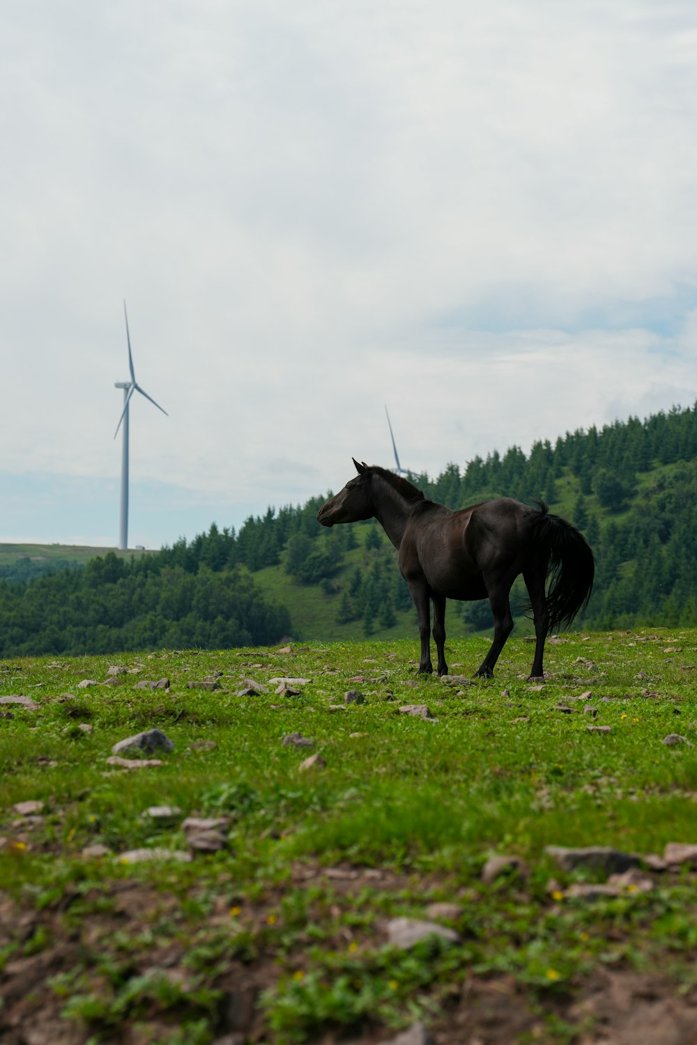 um cavalo parado em um campo com uma turbina eólica ao fundo