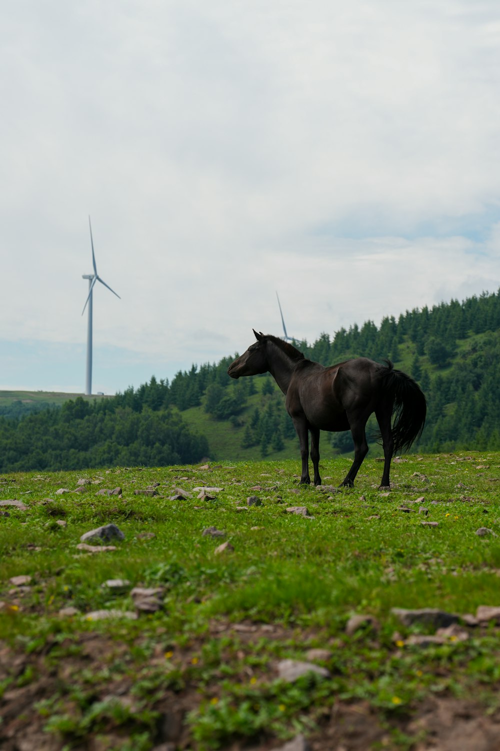 a horse standing in a field with a wind turbine in the background