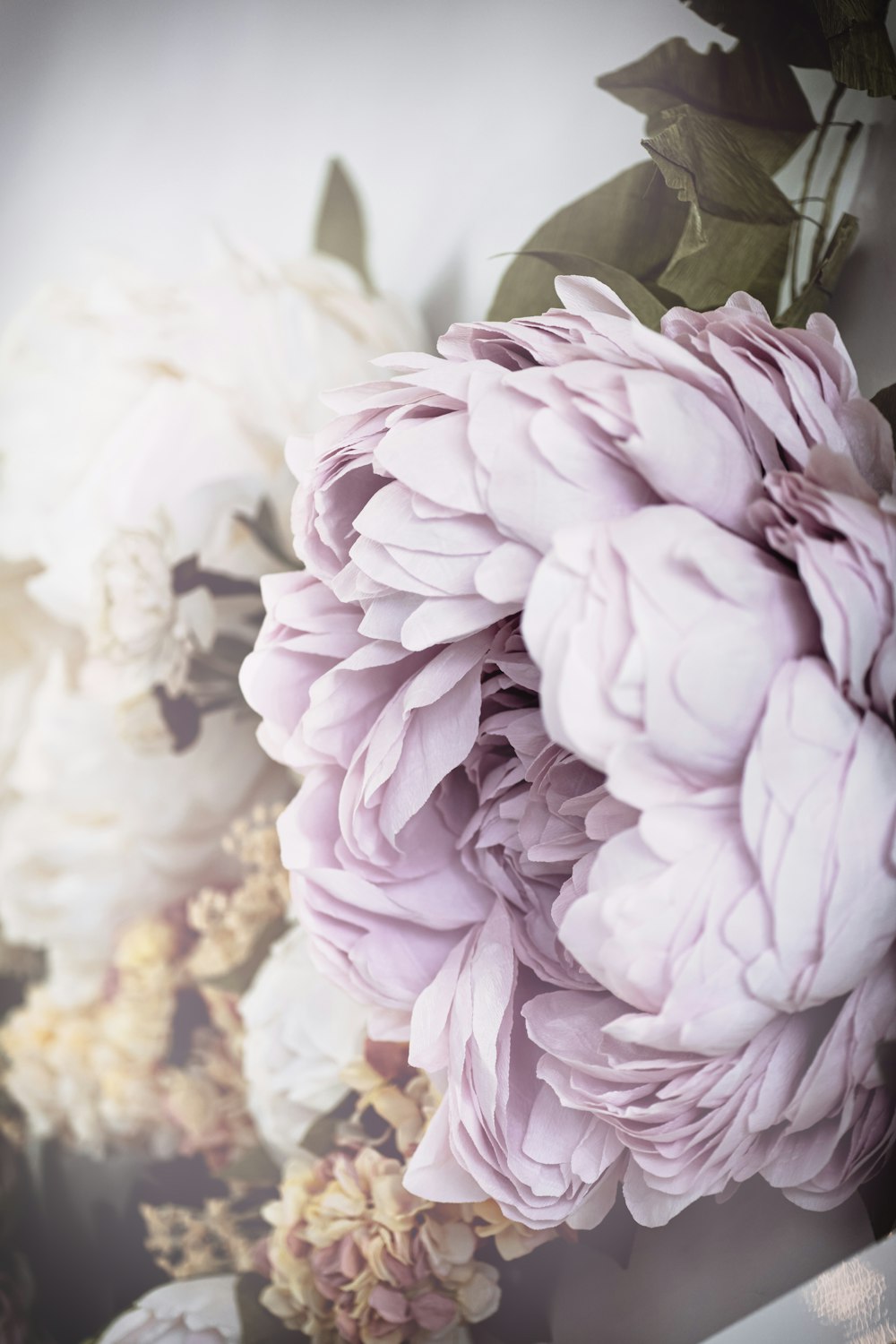 a close up of a bunch of flowers