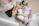 Soft natural bouquet arrangement with warm white and pale pink tones.