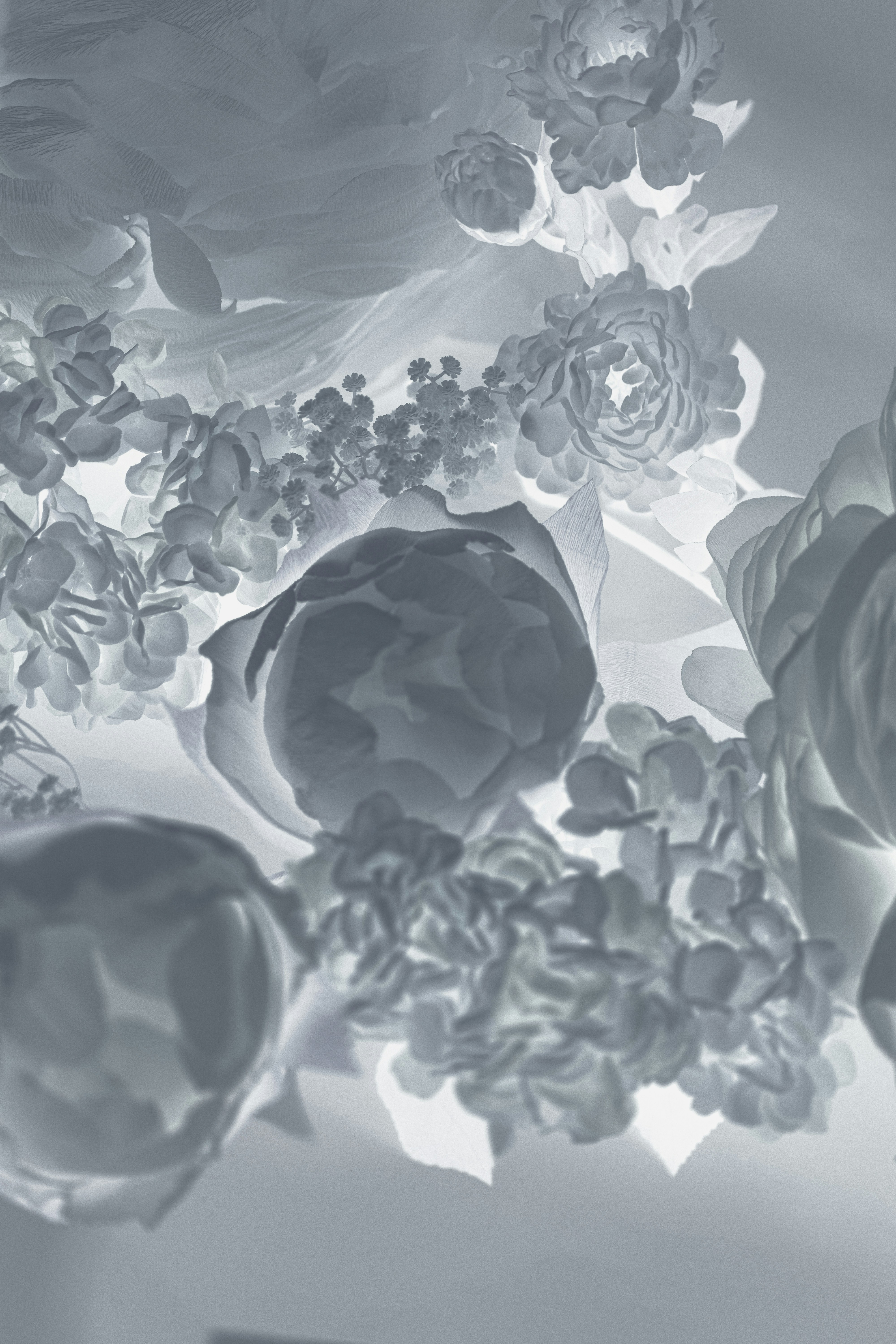 Photo by mahdibafande