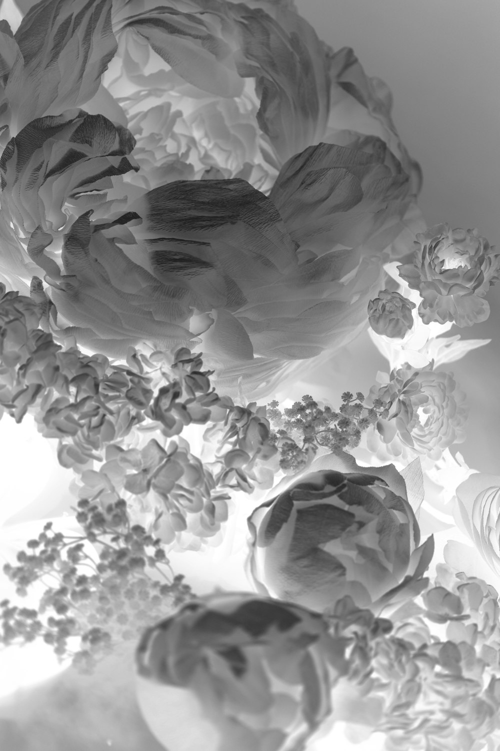 a black and white photo of a bunch of flowers