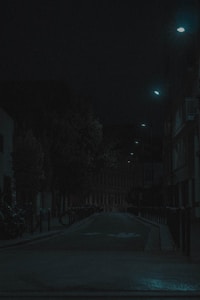 Night Walk