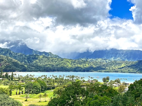 A tropical landscape features lush green hills and mountains under a partly cloudy sky. Below, a blue bay meets the shoreline lined with palm trees. Several sailboats are anchored in the water, while a mix of dense foliage and scattered buildings occupy the foreground.