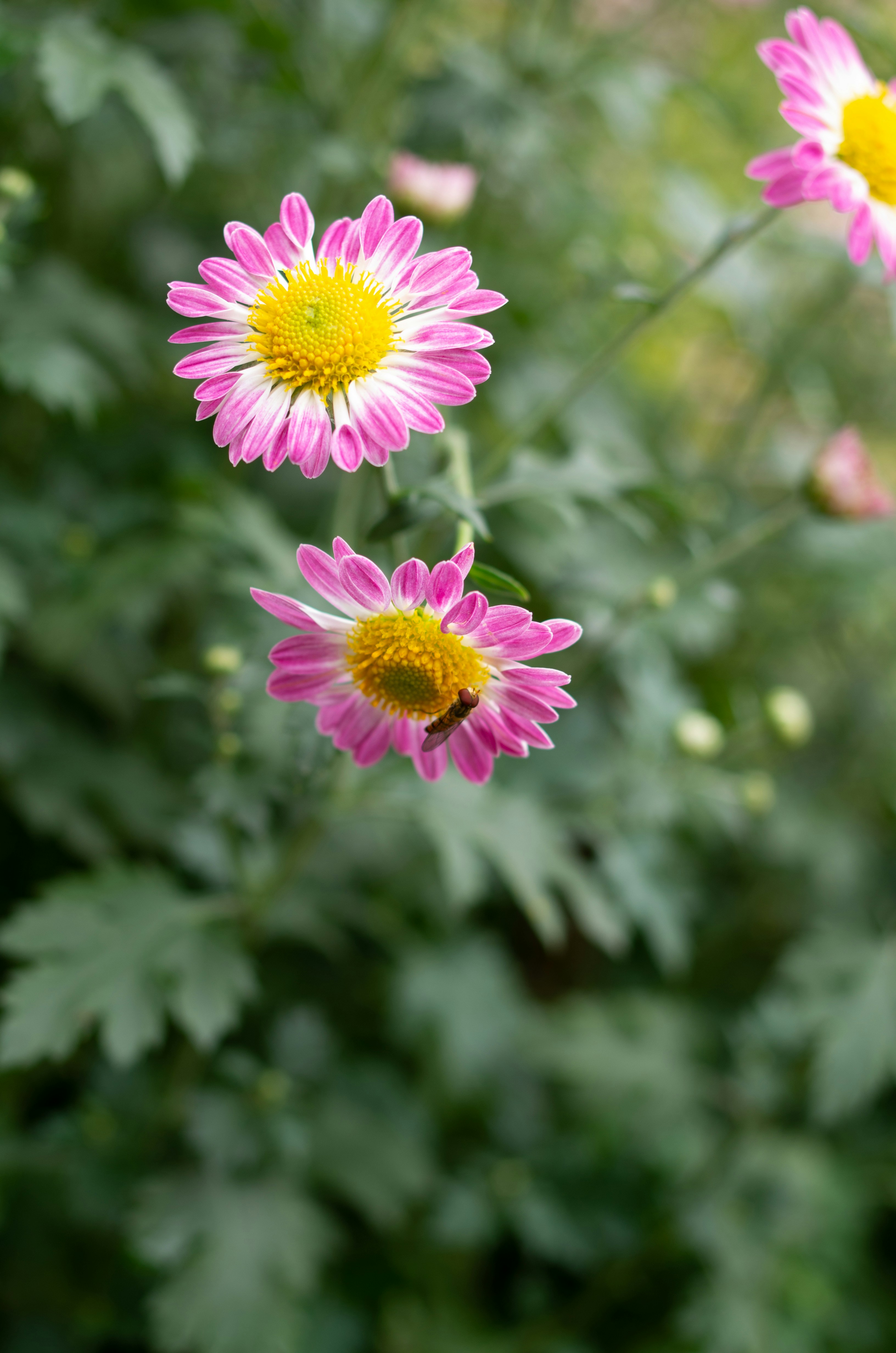 Photo by bigstarworkroom