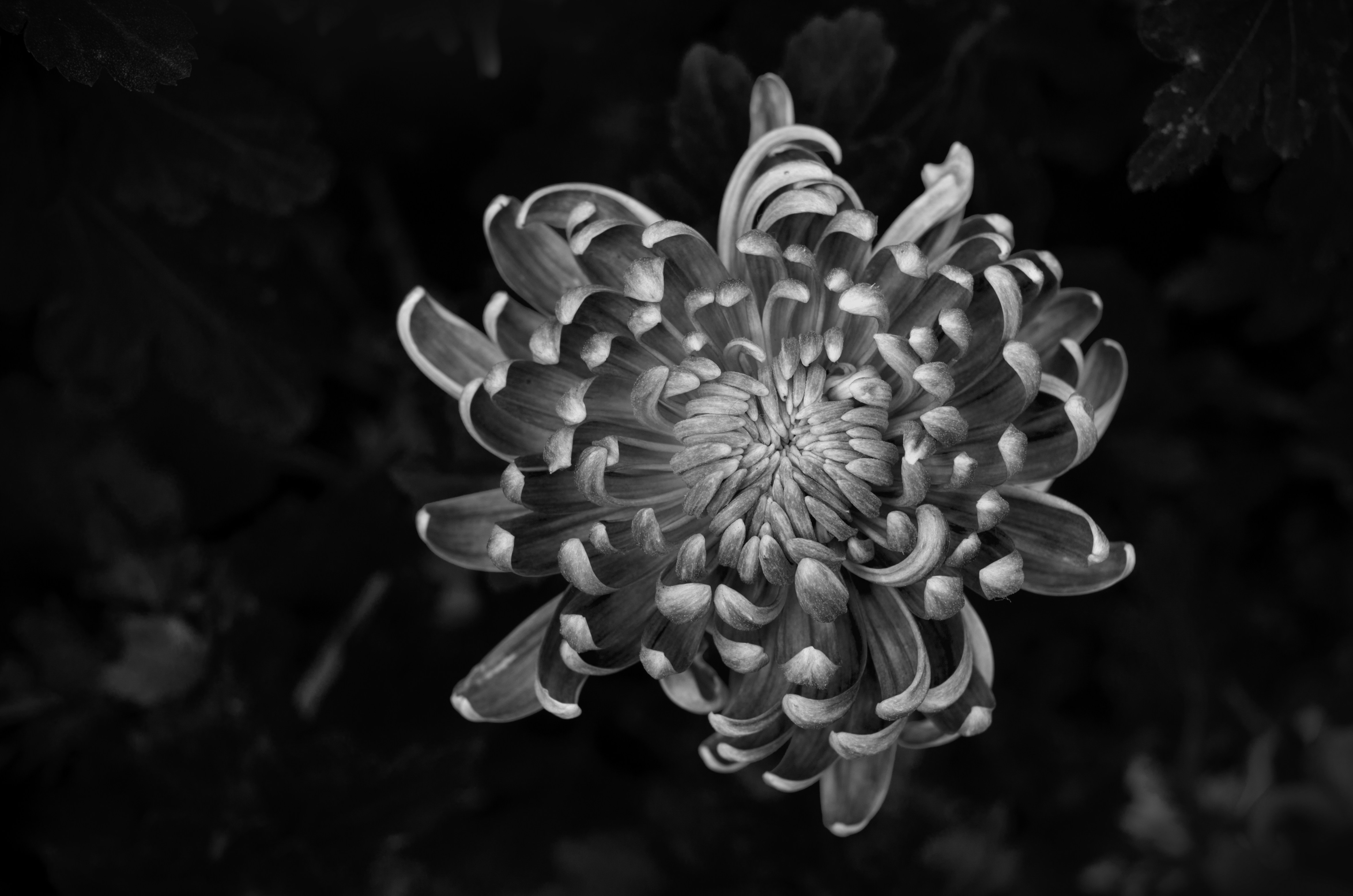 Photo by bigstarworkroom