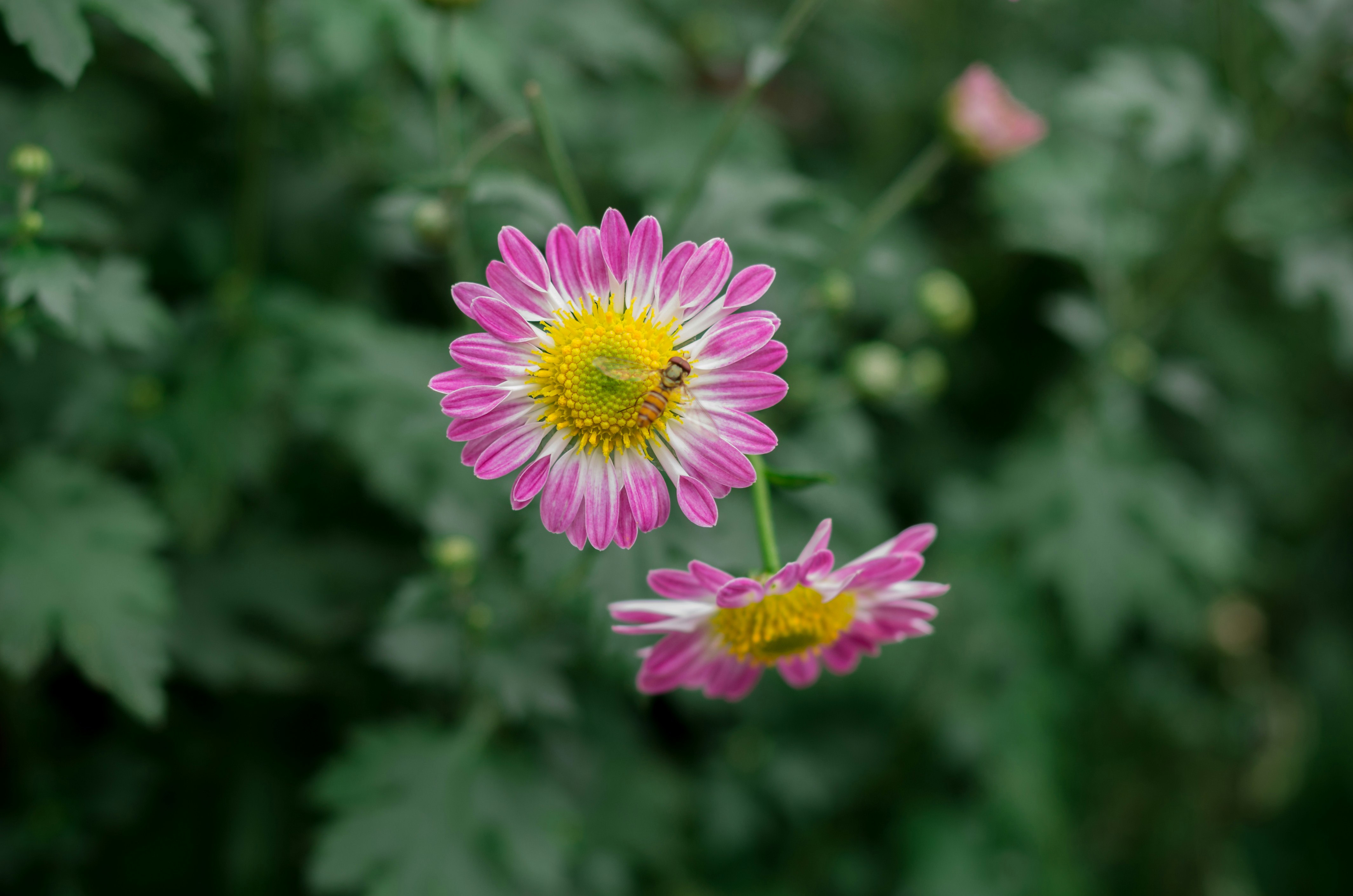 Photo by bigstarworkroom