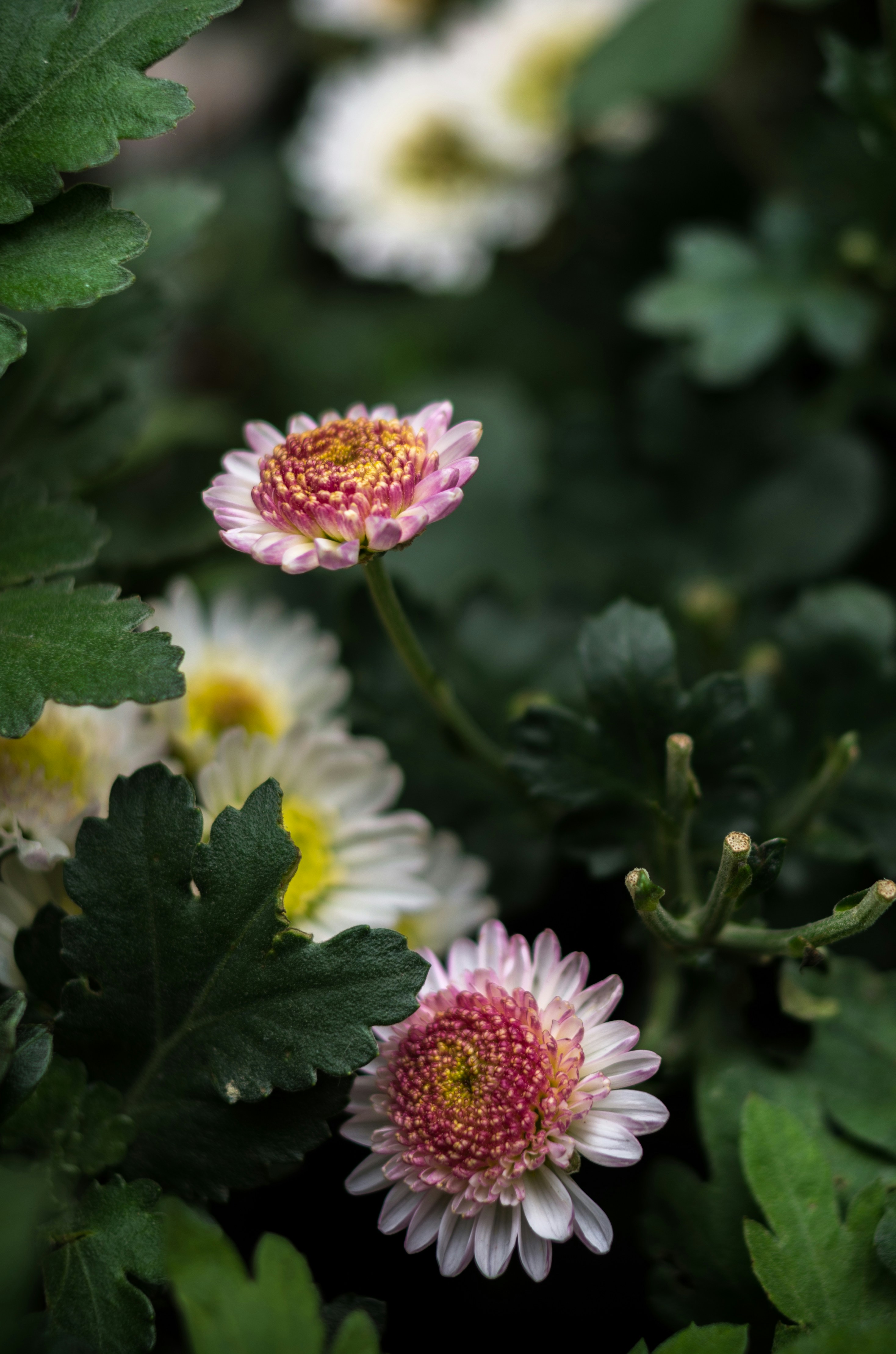 Photo by bigstarworkroom