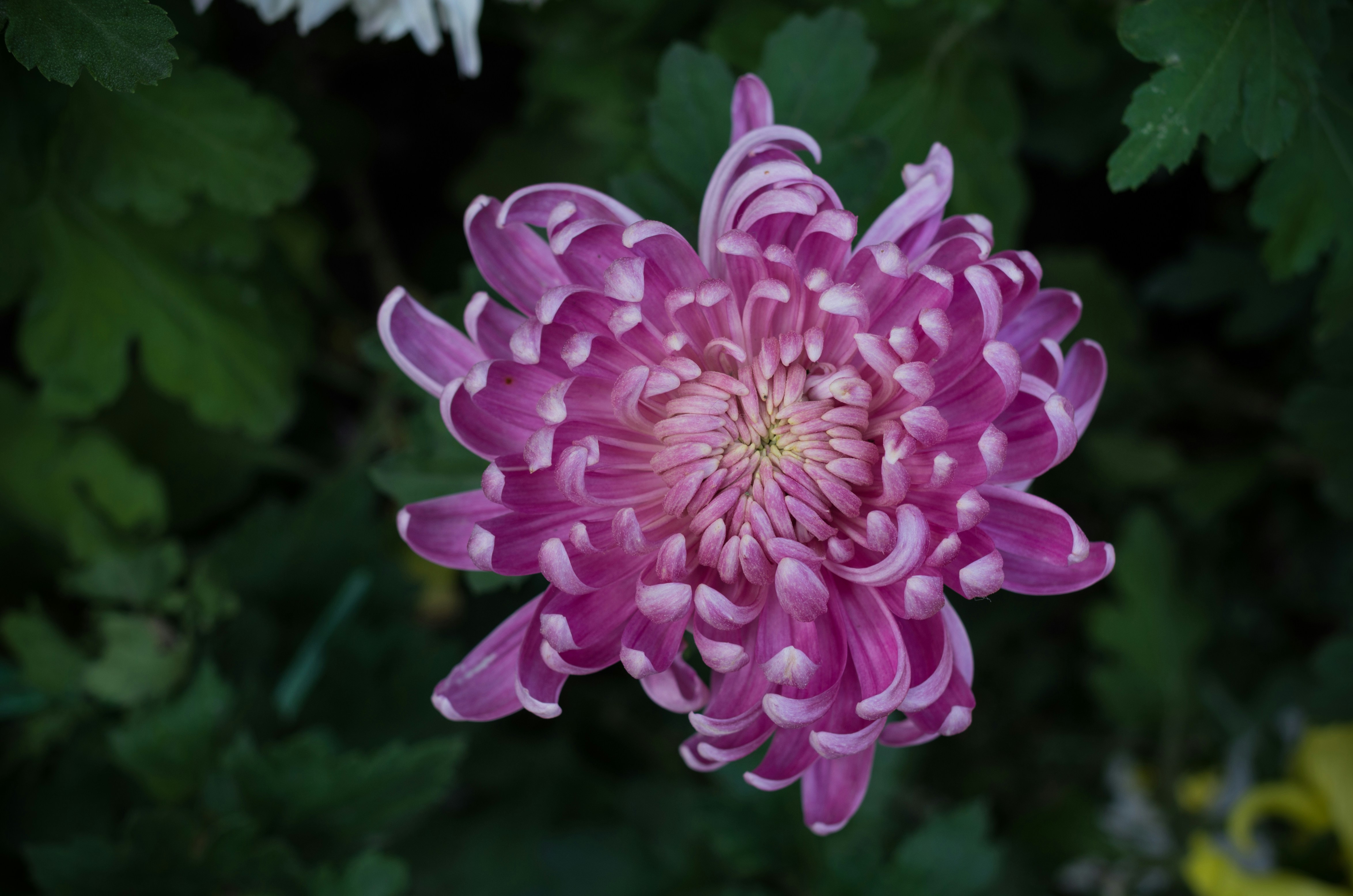 Photo by bigstarworkroom