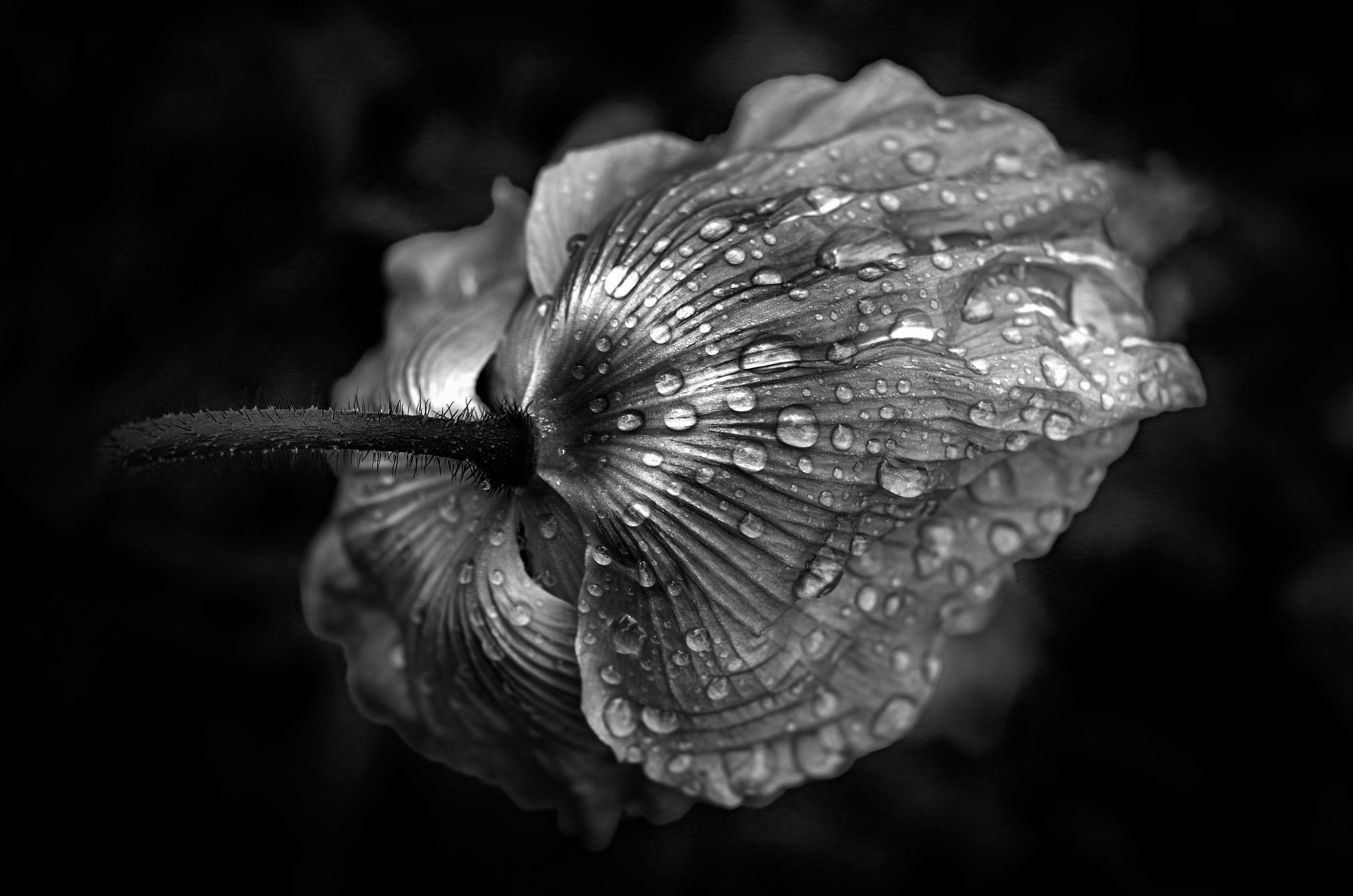 Photo by bigstarworkroom