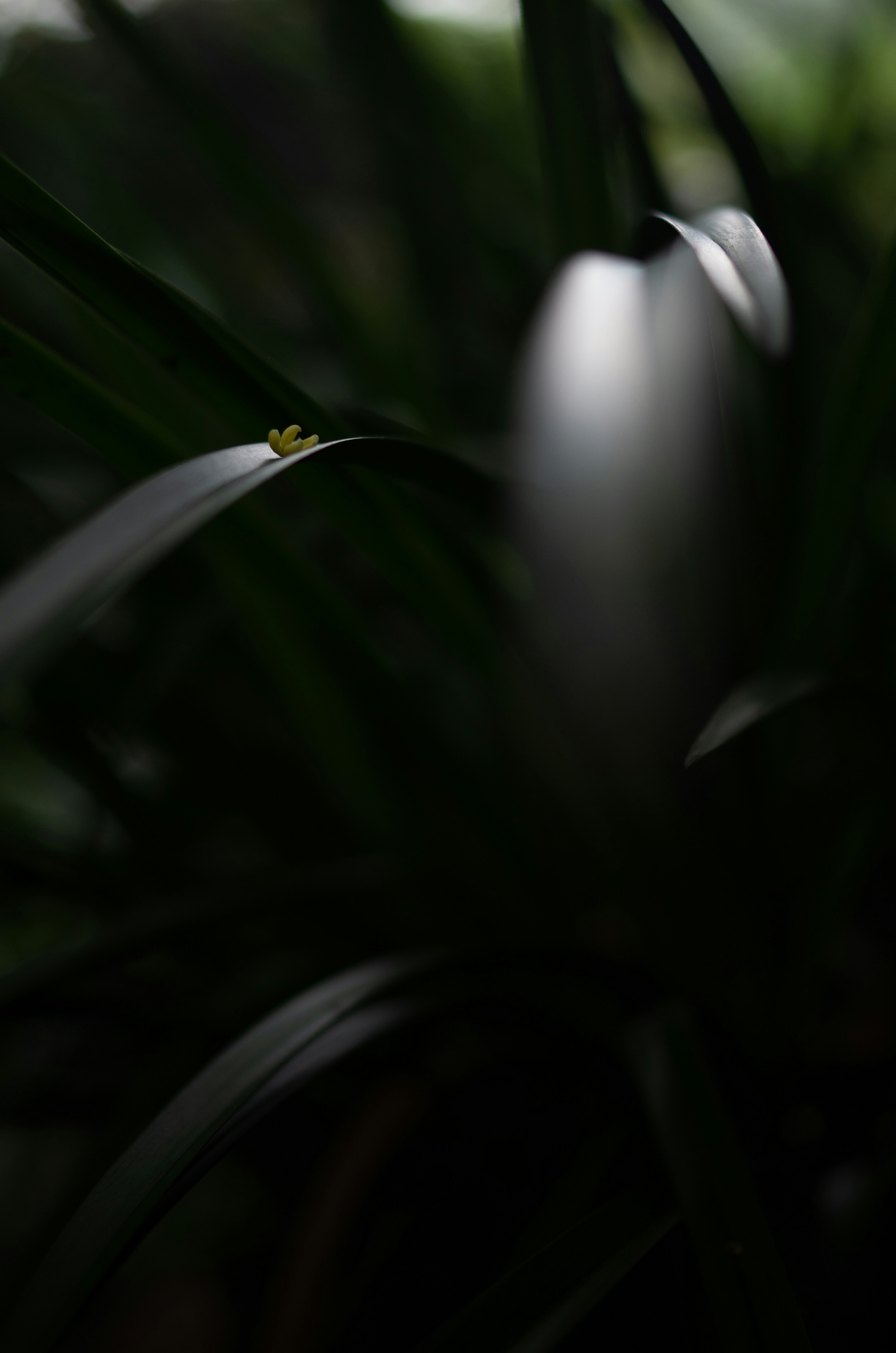 Photo by bigstarworkroom