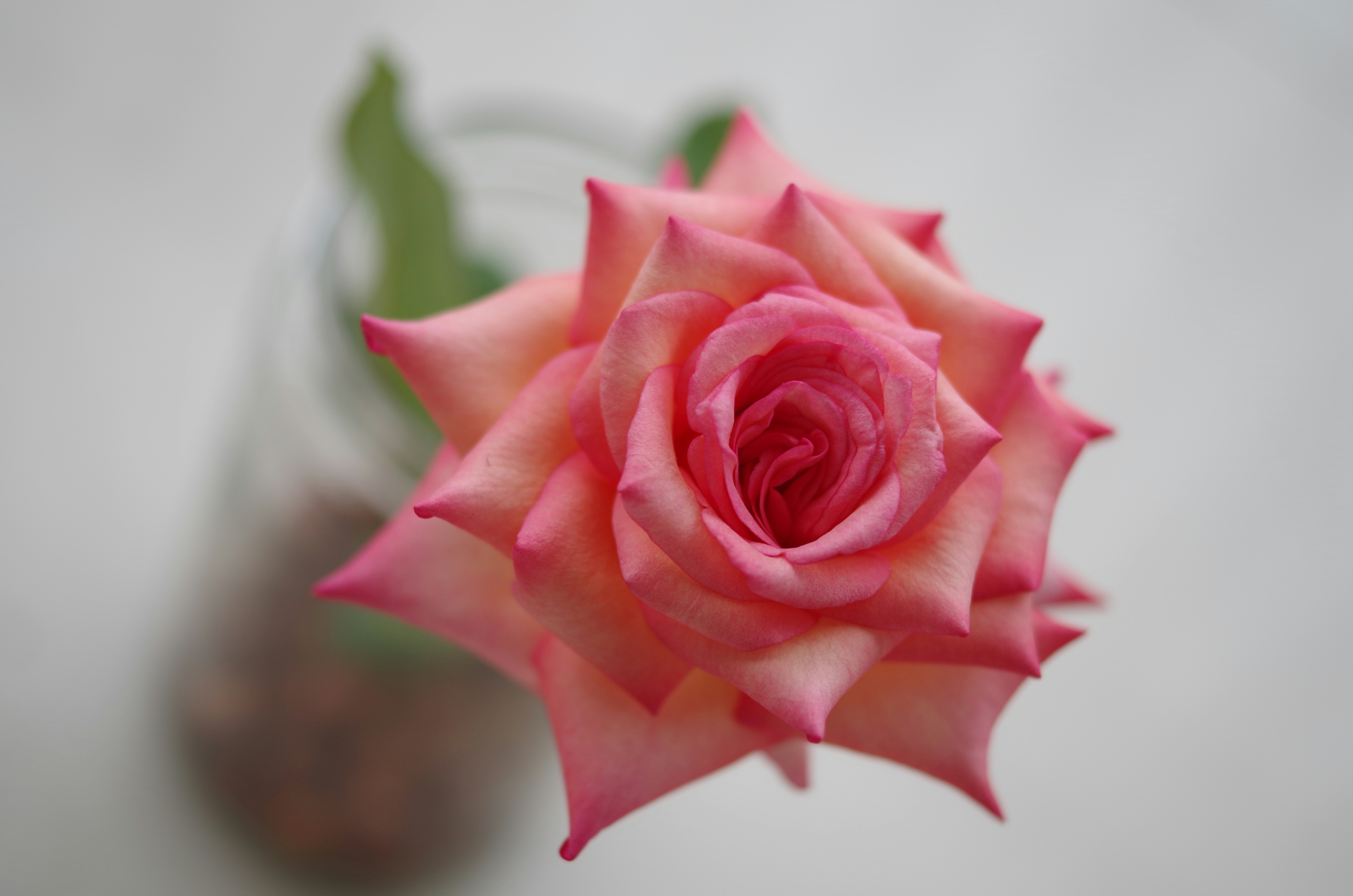 Photo by bigstarworkroom