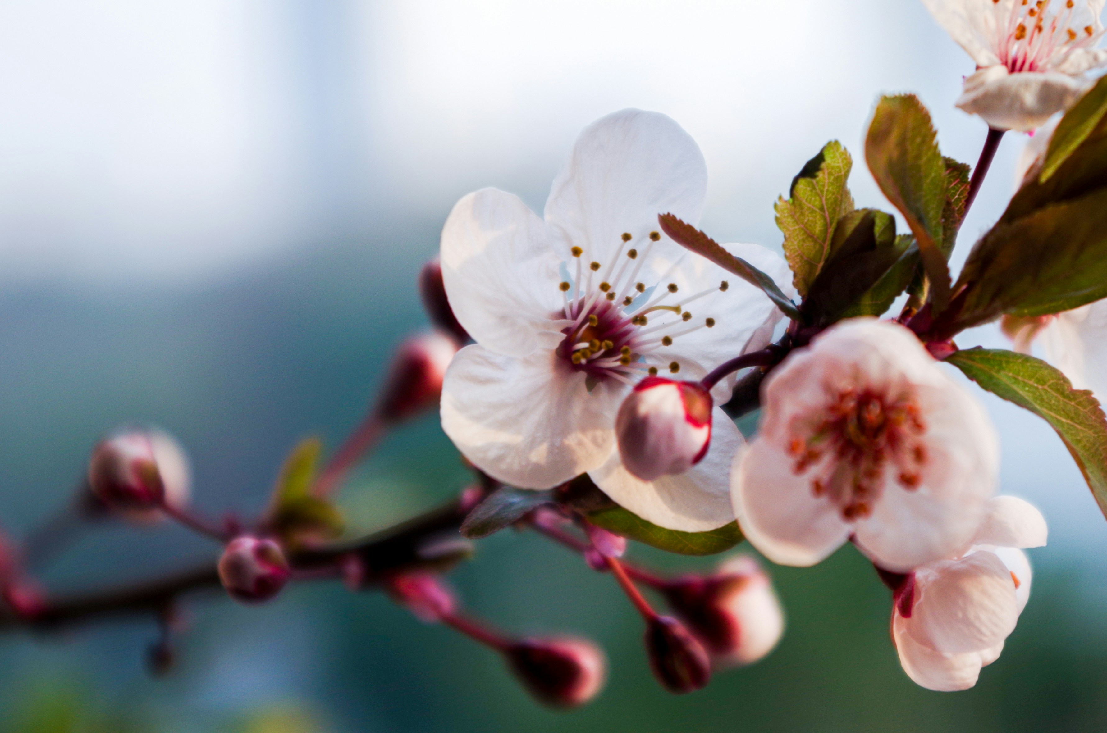 Photo by bigstarworkroom