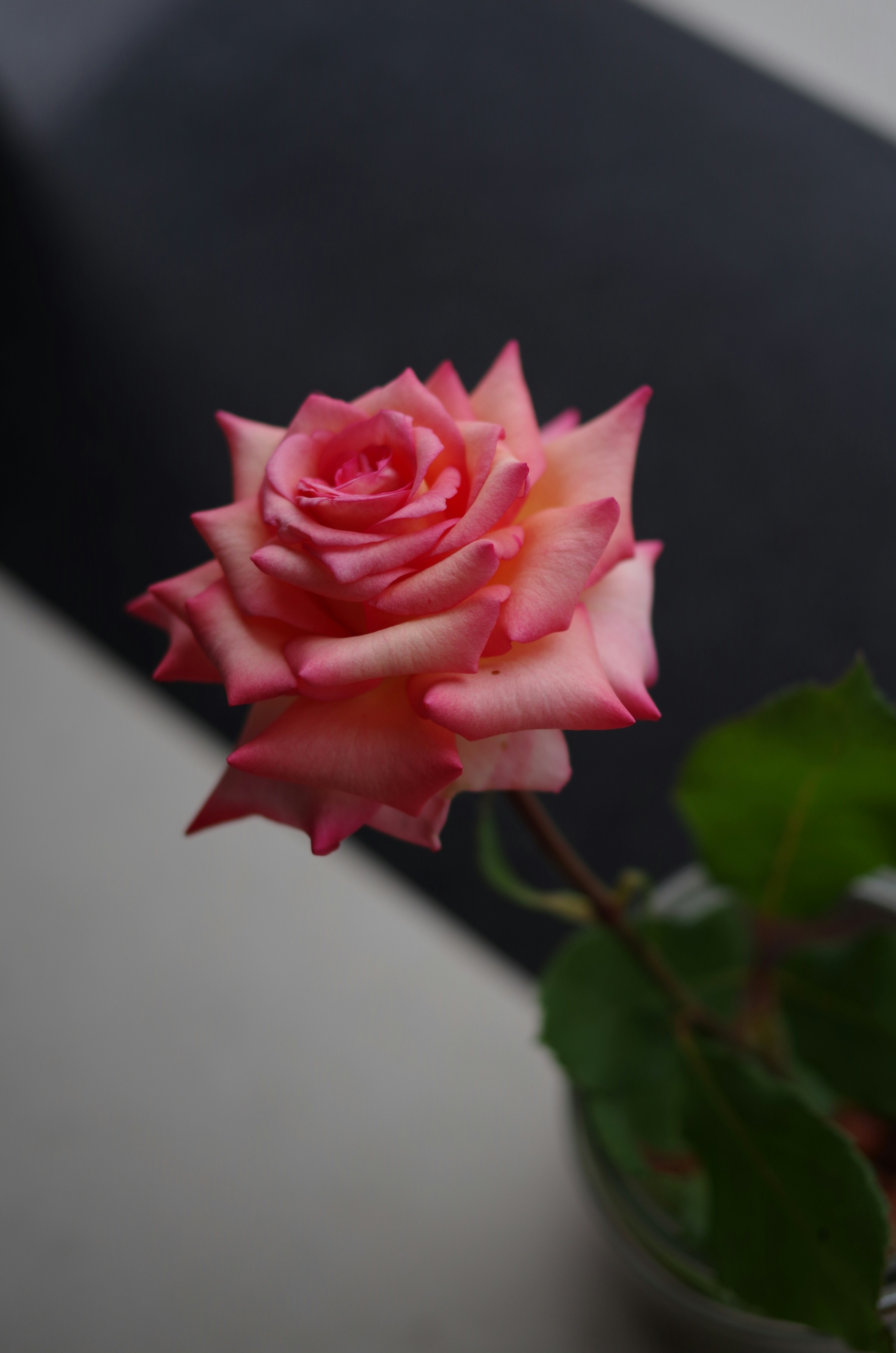 Photo by bigstarworkroom