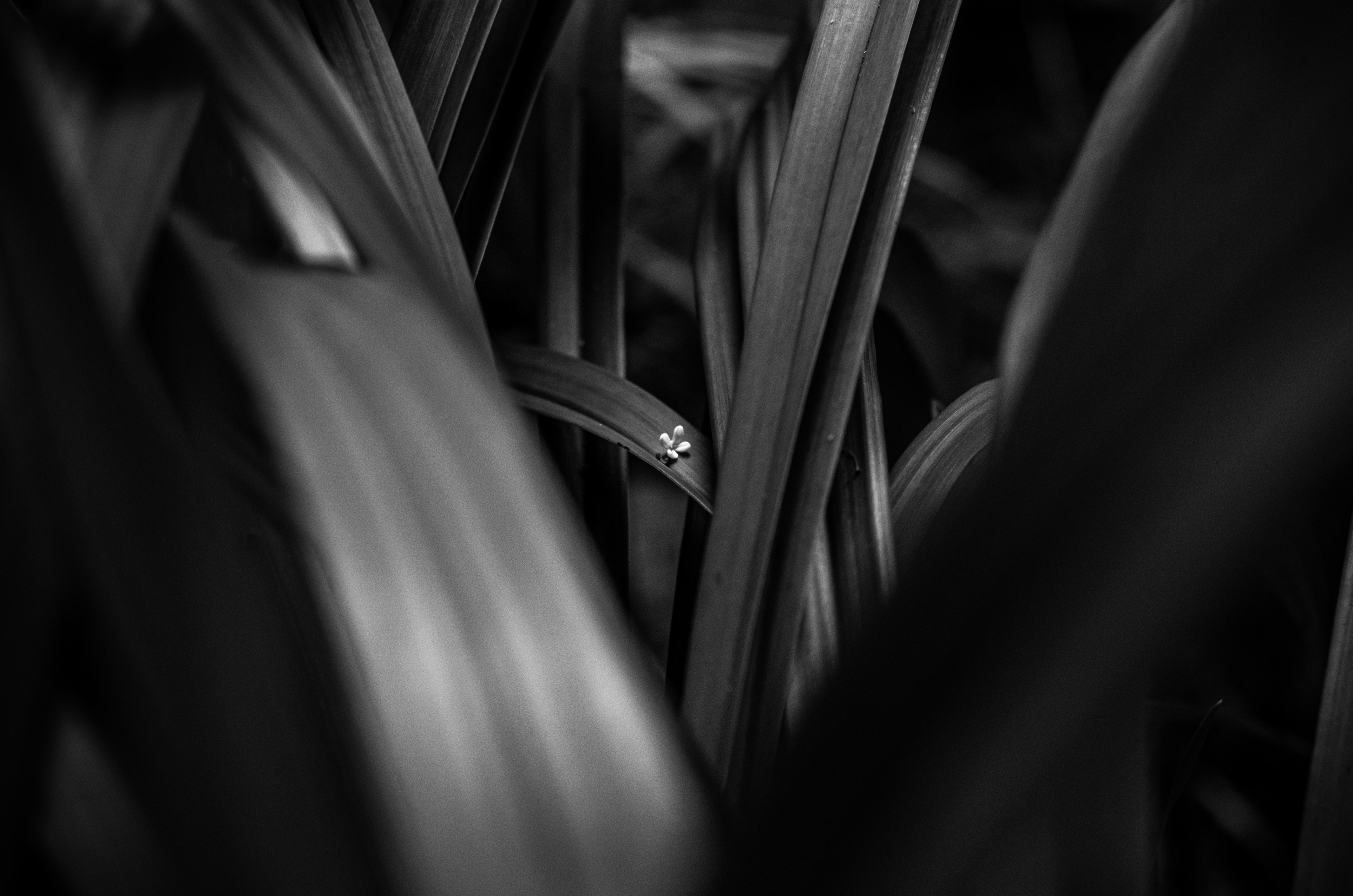 Photo by bigstarworkroom