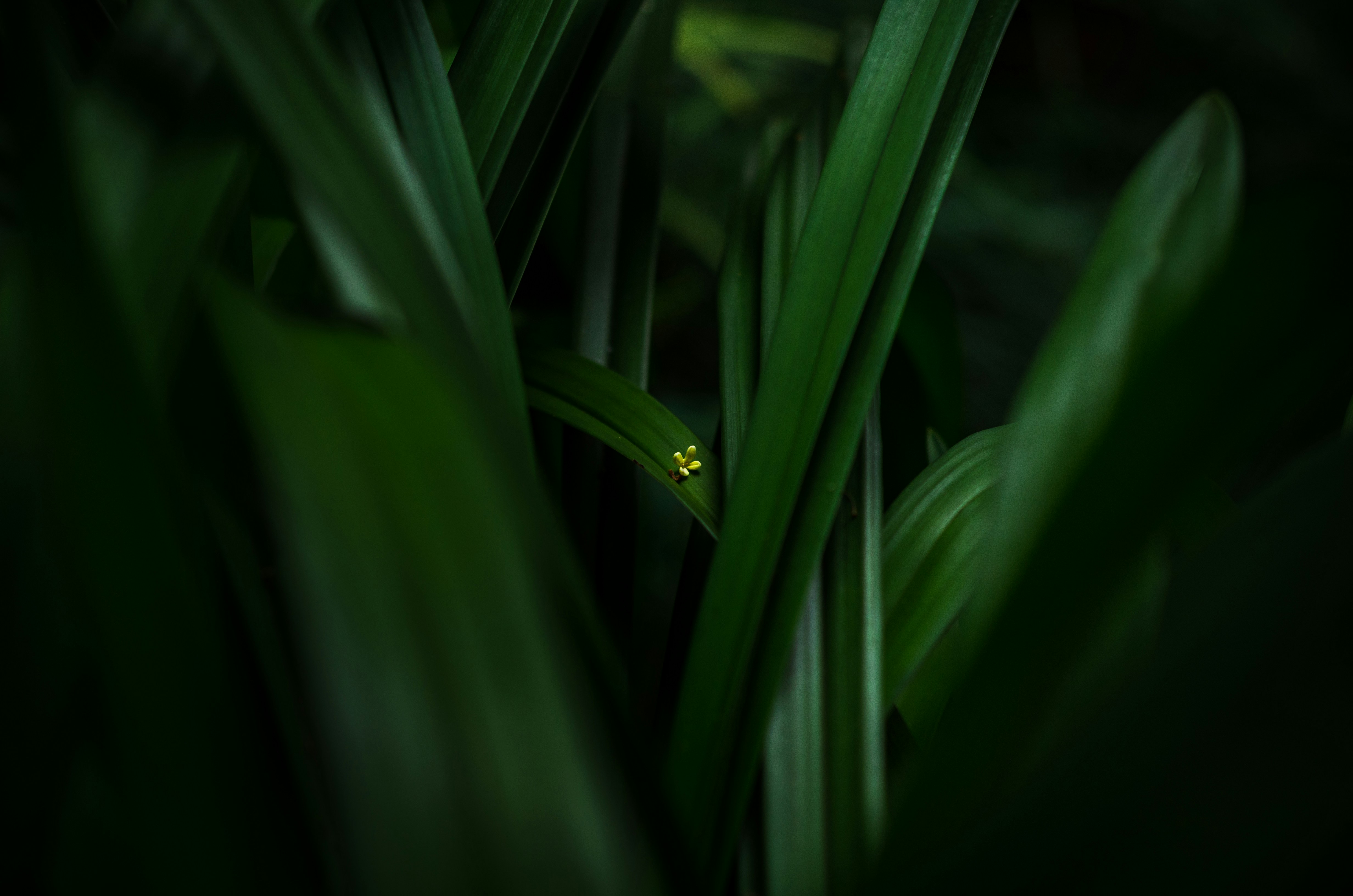 Photo by bigstarworkroom